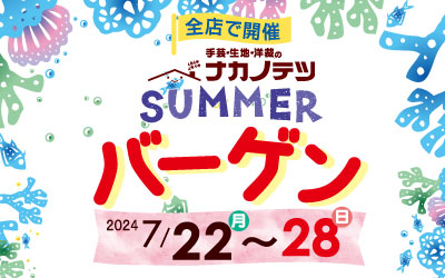 ナカノテツ　決算前の夏の大バーゲン